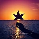 عکس: عبدالرؤف