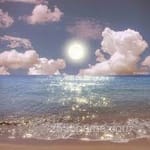 عکس: فیضان انور