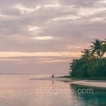 عکس: منیب بیگ